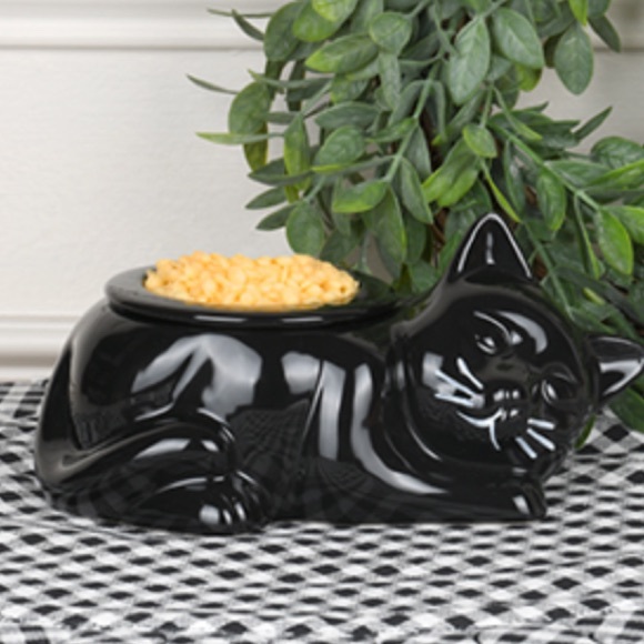 Pink Zebra Claire The Cat Simmer Pot